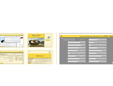 לומדת אקסל למתחילים ומתקדמים